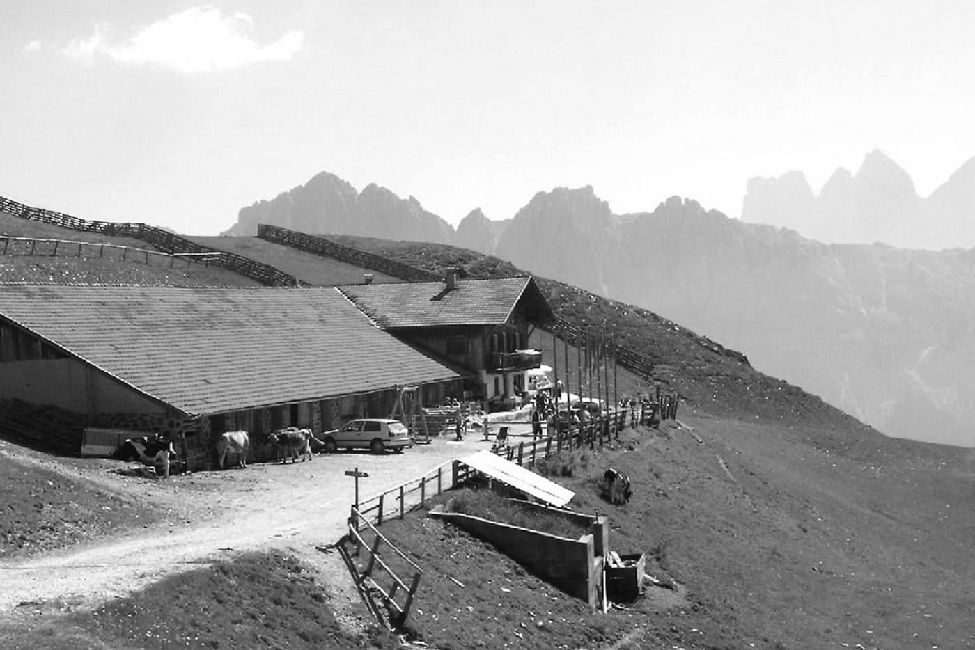 Rossalm in Südtirol | Dolomiten | Plose