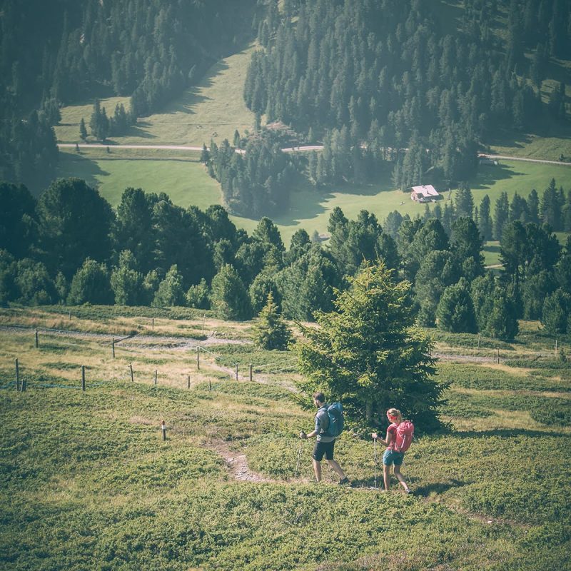 rossalm-brixen-plose-sommer-wandern-alm-huette-8