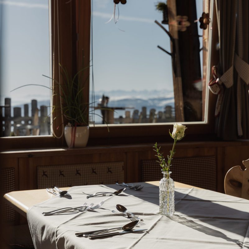 rossalm-plose-almrestaurant-fensterplatz-2026