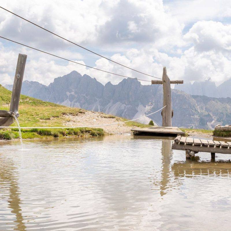 Rossalm Plose Brixen Alm Restaurant Christoph Werner Hinteregger Dolomiten Eisacktal (1) Rossalm Plose Brixen Alm Restaurant Christoph Werner Hinteregger Dolomiten Eisacktal (1)