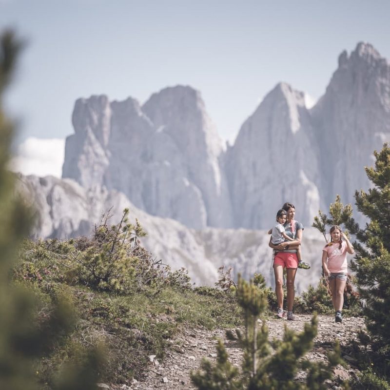rossalm-sommer-wandern-plose-brixen-dolomiten-suedtirol-1