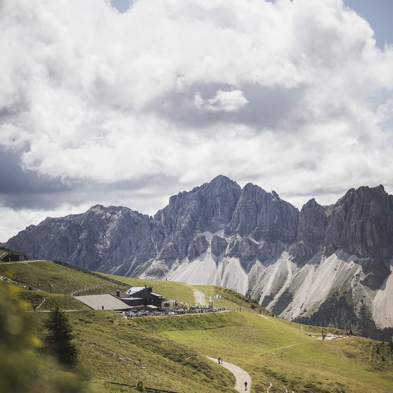 rossalm-sommer-wandern-plose-brixen-dolomiten-suedtirol-6