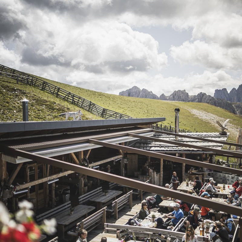 rossalm-sommer-wandern-plose-brixen-dolomiten-suedtirol-8